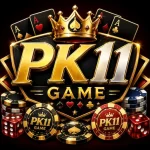 PK11 Game