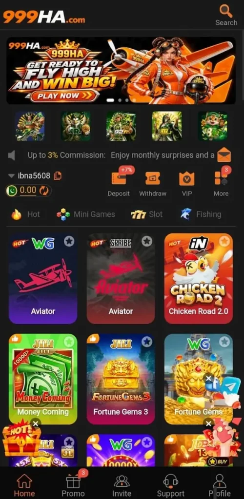 999HA Game